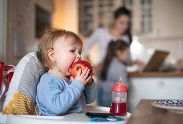 Porträt eines kleinen Mädchens mit Mutter und Schwester, die im Hochstuhl sitzen und einen Apfel essen. - HPIF07689