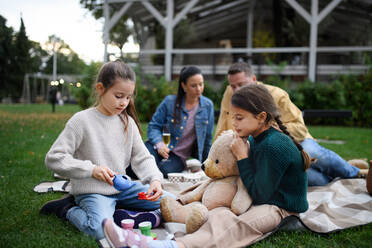 Glückliche kleine Schwestern sitzen auf Decke und spielen mit Teddybär auf Picknick mit Eltern im Freien im Park - HPIF07796