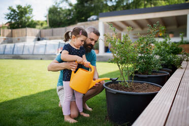 A father and small daughter outdoors in tha backyard, watering plants. - HPIF07845