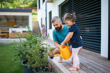 Ein Vater und seine kleine Tochter gießen im Hinterhof Pflanzen. - HPIF07847