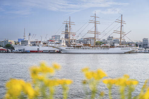 Deutschland, Hamburg, Windjammer liegt in St. Pauli vor Anker - KEBF02609