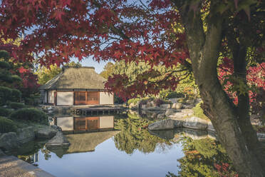 Germany, Hamburg, Pond and Japanese teahouse in Planten un Blomen park - KEBF02629