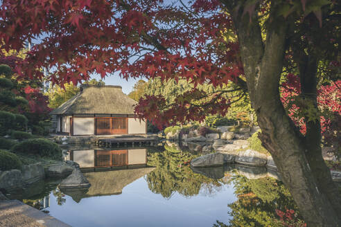 Deutschland, Hamburg, Teich und japanisches Teehaus im Park Planten un Blomen - KEBF02629