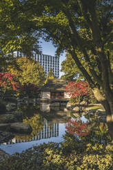 Germany, Hamburg, Pond and Japanese teahouse in Planten un Blomen park - KEBF02630