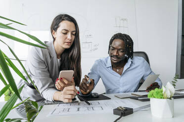 Architekt und Kollege diskutieren über einen Bauplan im Büro - OSF01408