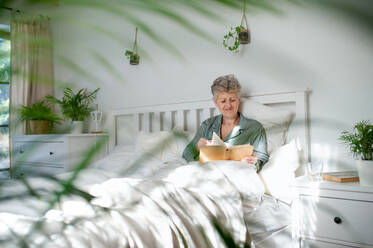 Happy senior woman reading a book in bed at home. - HPIF07943