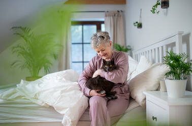 Portriat of happy senior woman with cat resting in bed at home. - HPIF07963