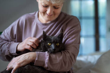 Porträt einer glücklichen älteren Frau mit Katze, die sich zu Hause im Bett ausruht. - HPIF07964