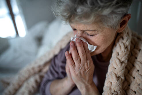 Eine kranke ältere Frau liegt zu Hause im Bett, niest und schnäuzt sich. - HPIF07970