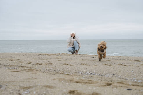 Maltipoo dog running with woman crouching on sand at beach - ALKF00180