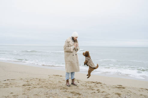 Dog jumping by woman standing on sand at beach - ALKF00183