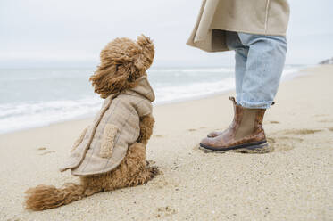 Hund sitzt in der Nähe von Frau auf Sand am Strand - ALKF00184