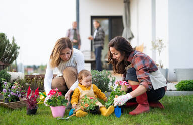 Eine glückliche Mehrgenerationen-Familie im Freien Blumen pflanzen im Garten zu Hause, Gartenarbeit Konzept. - HPIF08581