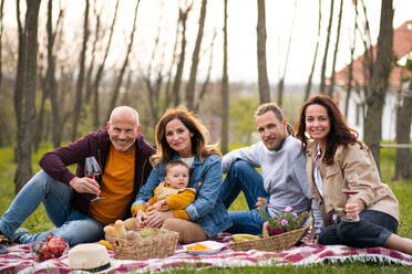 Glückliche Mehrgenerationen-Familie im Freien beim Picknick in der Natur, beim Entspannen. - HPIF08592