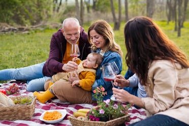 Glückliche Mehrgenerationen-Familie im Freien beim Picknick in der Natur, beim Entspannen. - HPIF08593