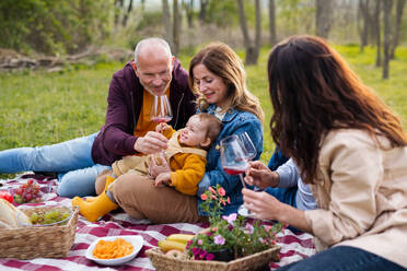 Happy multigeneration family outdoors having picnic in nature, relaxing. - HPIF08593