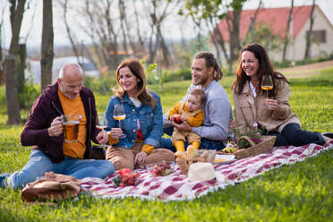 Glückliche Mehrgenerationen-Familie im Freien mit Picknick im Hinterhof Garten, entspannend. - HPIF08595