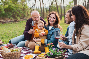 Glückliche Mehrgenerationen-Familie im Freien beim Picknick in der Natur, beim Entspannen. - HPIF08599