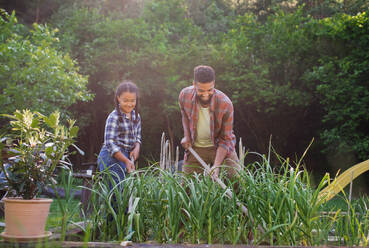 Ein glücklicher junger Vater mit kleiner Tochter arbeitet im Freien im Hinterhof, Gartenarbeit Konzept. - HPIF08612