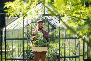 Portrait of happy young man working outdoors in backyard, gardening and greenhouse concept. - HPIF08622