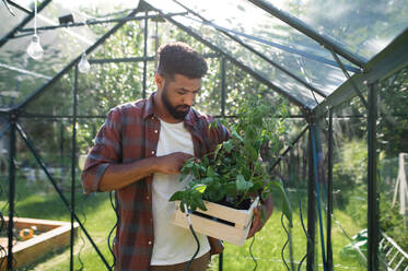 Portrait of happy young man working outdoors in backyard, gardening and greenhouse concept. - HPIF08623