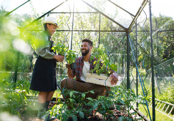 Ein glücklicher junger Vater mit einer kleinen Tochter bei der Arbeit im Garten, Gartenarbeit und Gewächshauskonzept. - HPIF08626