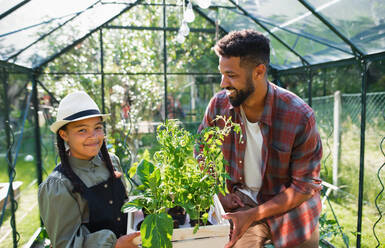 Ein glücklicher junger Bruder mit einer kleinen Schwester bei der Arbeit im Freien im Hinterhof, bei der Gartenarbeit und im Gewächshaus. - HPIF08627