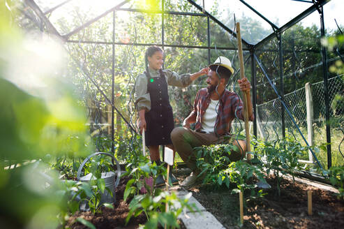 Ein glücklicher junger Vater mit einer kleinen Tochter bei der Arbeit im Garten, Gartenarbeit und Gewächshauskonzept. - HPIF08628