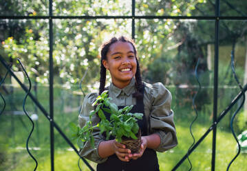 Ein glückliches kleines Mädchen bei der Gartenarbeit im Gewächshaus im Freien im Hinterhof, Blick in die Kamera. - HPIF08634