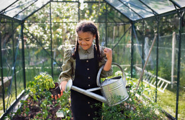 A happy small girl gardening in greenhouse outdoors in backyard. - HPIF08640