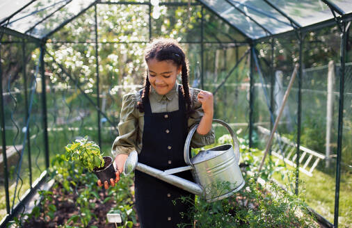 Eine glückliche kleine Mädchen Gartenarbeit im Gewächshaus im Freien im Hinterhof. - HPIF08640
