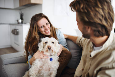Ein glückliches, verliebtes junges Paar mit Hund sitzt zu Hause auf dem Sofa und ruht sich aus. - HPIF08820