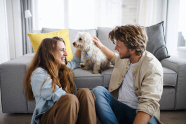 A happy young couple in love with dog indoors at home, resting. - HPIF08822