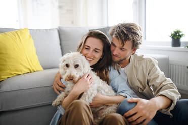 A happy young couple in love with dog indoors at home, resting. - HPIF08823