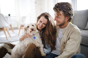 Ein glückliches, verliebtes junges Paar mit Hund, das sich zu Hause ausruht. - HPIF08826