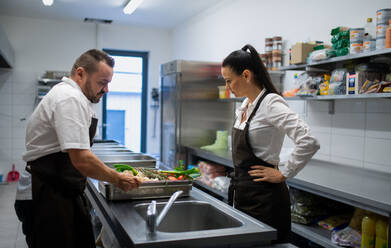 A cook washing vegetables in sink in commercial kitchen. - HPIF08898