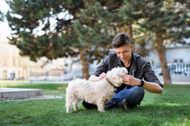 A portrait of young man with dog outdoors in city park, resting. - HPIF08966