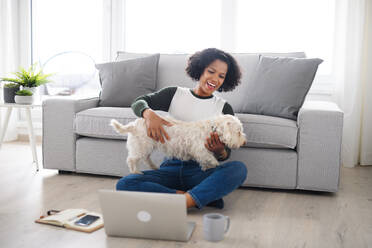 A portrait of happy mature woman with dog working on laptop, home office concept. - HPIF08973