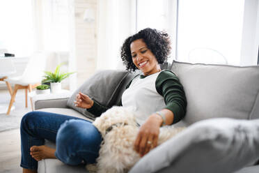 Ein Porträt einer glücklichen reifen Frau, die zu Hause sitzt und mit ihrem Hund spielt. - HPIF08974