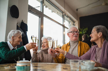 Happy senior friends sitting indoors in a cafe clinking champagne glasses and celebrating - HPIF09072