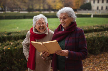 Glückliche ältere Frauen, die im Herbst im Stadtpark spazieren gehen, ein Buch lesen und sich unterhalten. - HPIF09083