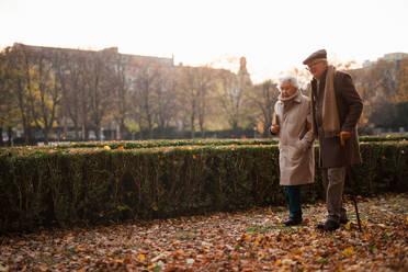 Ältere Freunde beim Spaziergang in einem Park an einem Herbsttag, Kopierraum. - HPIF09131