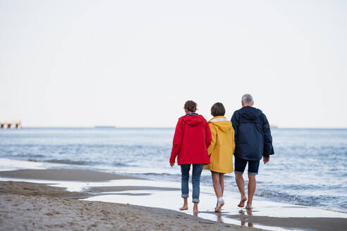 A rear view of senior couple holding hands with their preteen granddaughter and walking on sandy beach - HPIF09223