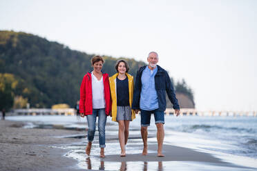 A senior couple holding hands with their preteen granddaughter and walking on sandy beach. - HPIF09224