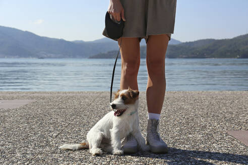 Cute dog sitting by woman at promenade on sunny day - SYEF00237