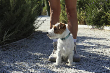 Woman with cute puppy in park - SYEF00246