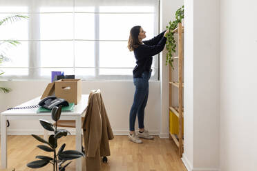 Geschäftsfrau dekoriert Regal im Büro - XLGF03260