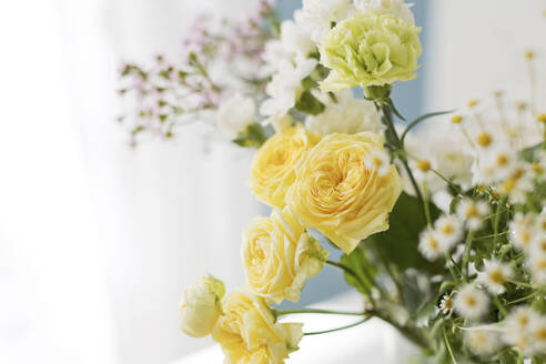 Gelbe und weiße Blumen auf dem Tisch - ONAF00423
