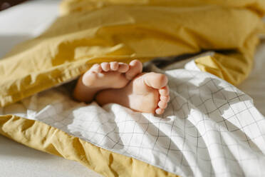 Füße eines Mädchens, das aus der Decke auf dem Bett herausschaut - SSYF00112