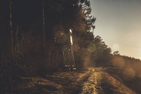 Observation tower by trees and road at sunset - ANHF00220